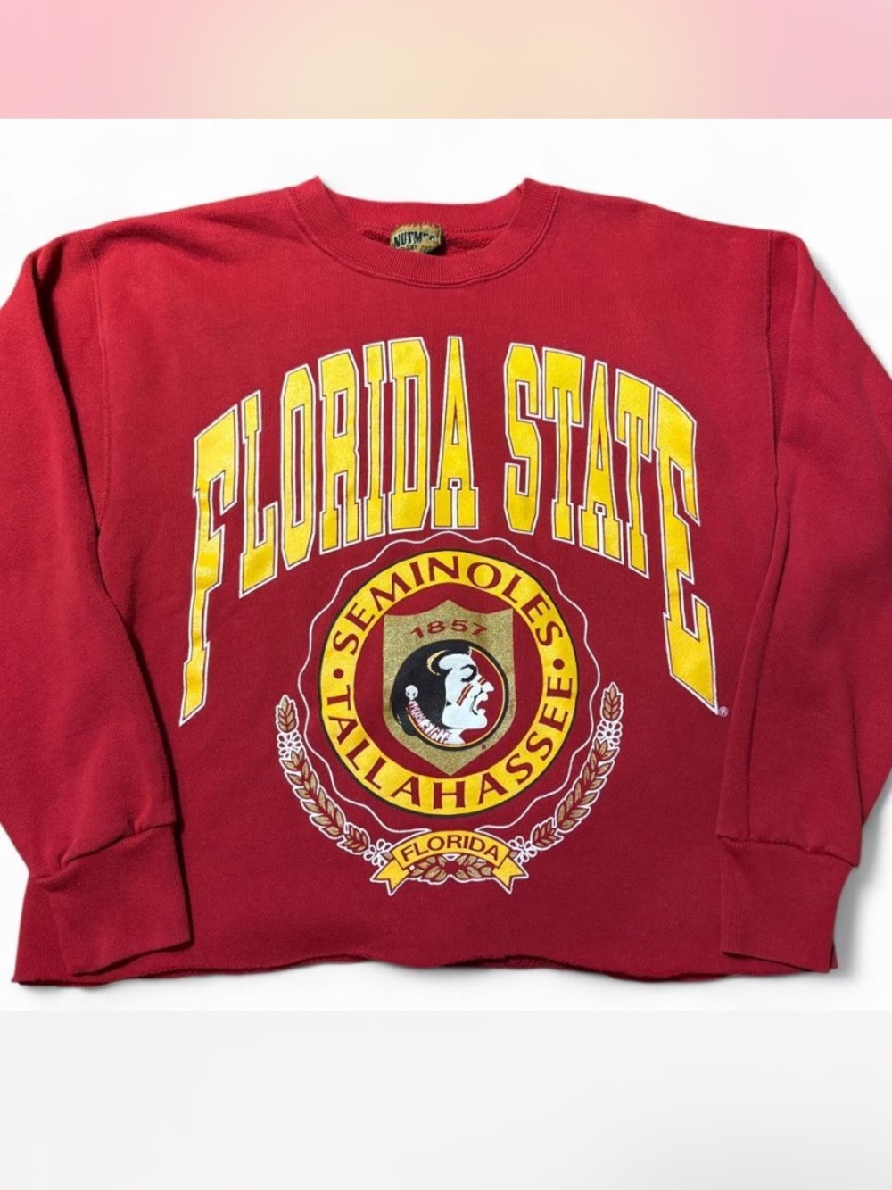 Vintage 90s Florida State Seminoles Sweatshirt | FSU Crewneck | Size M/L